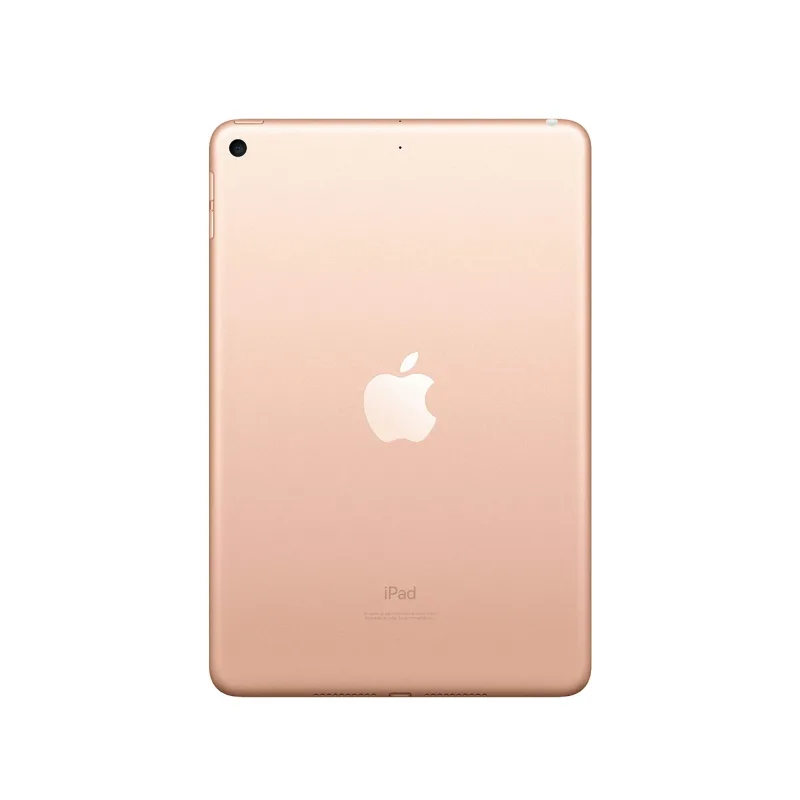 Apple iPad Mini 7.9 pollici (2019) 5a Generazione, Oro, fotografia 2